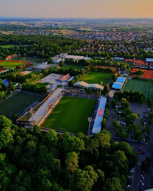 家对球员进 家对球员进