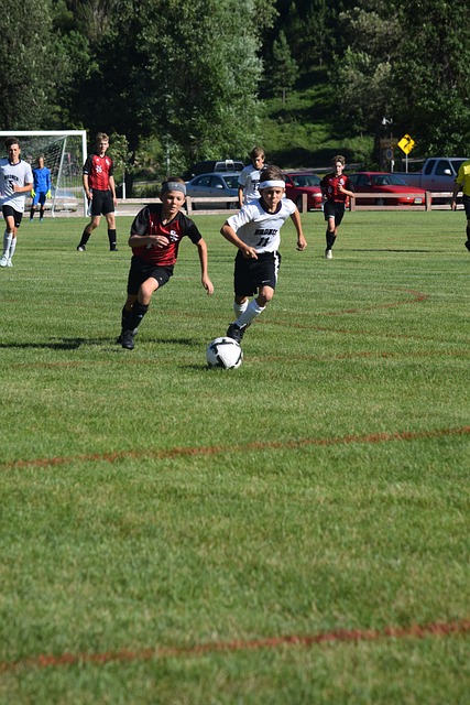 过去一年的 过去一年的